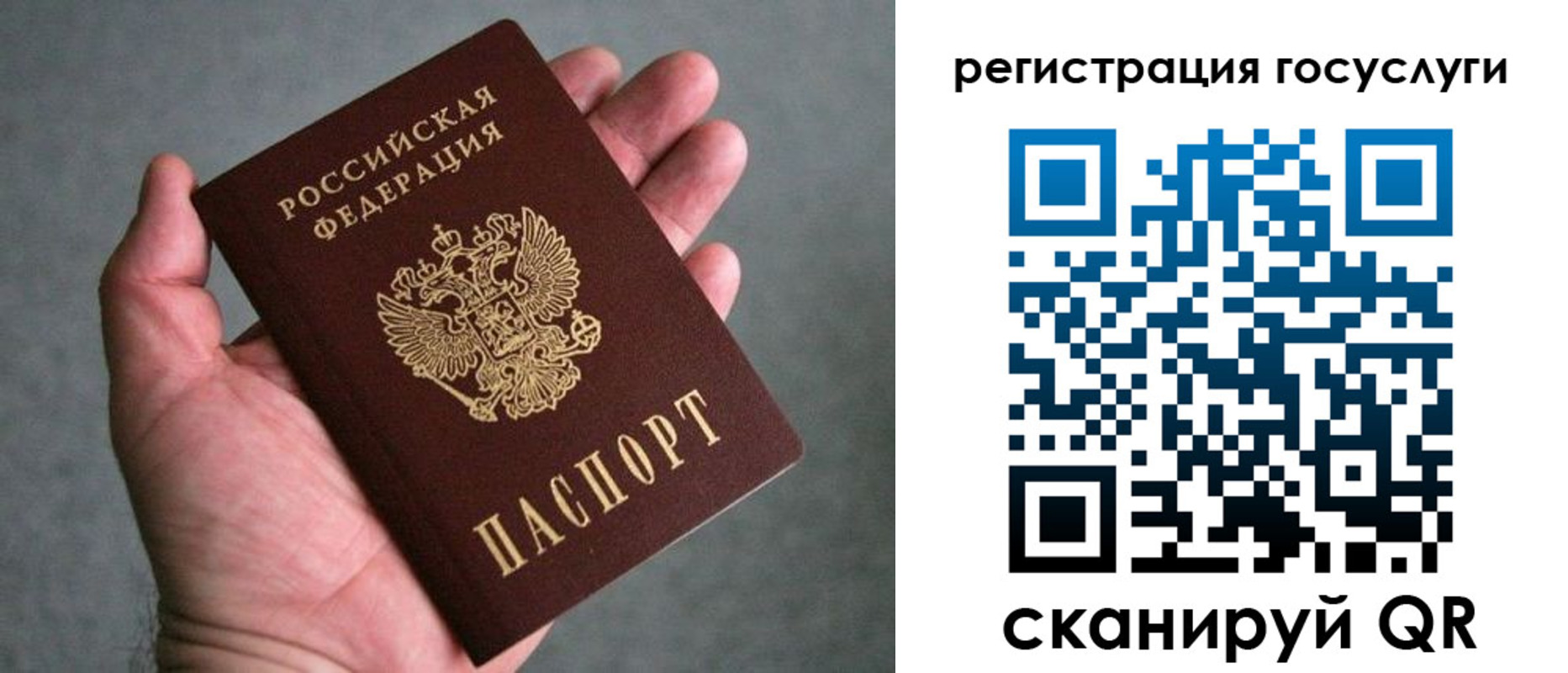 прописка поиск в Лузе